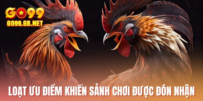 Loạt ưu điểm khiến sảnh chơi được đón nhận